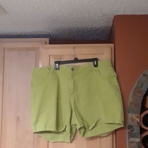 Lane Bryant Green Denim Jean Shorts